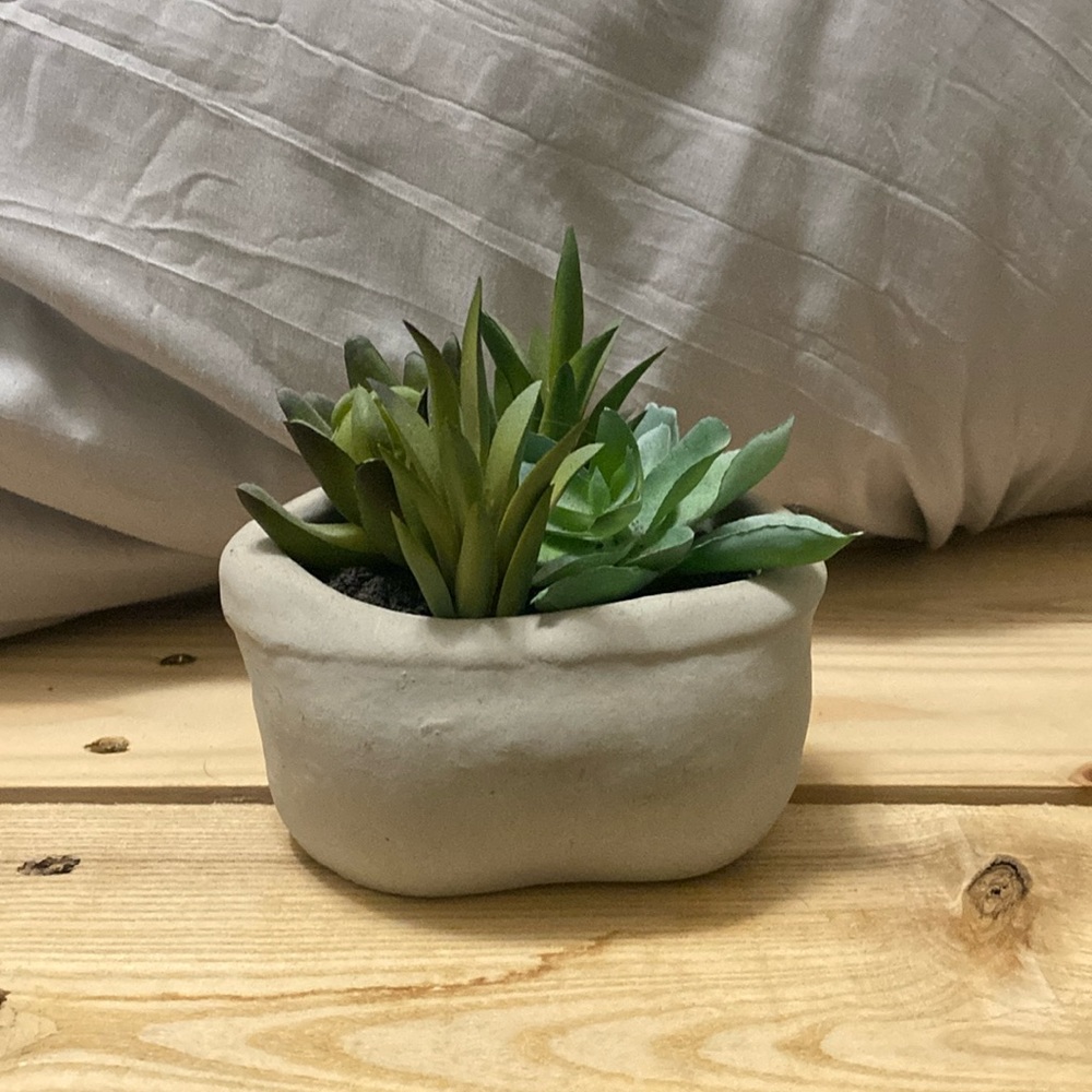 Fake Succulent